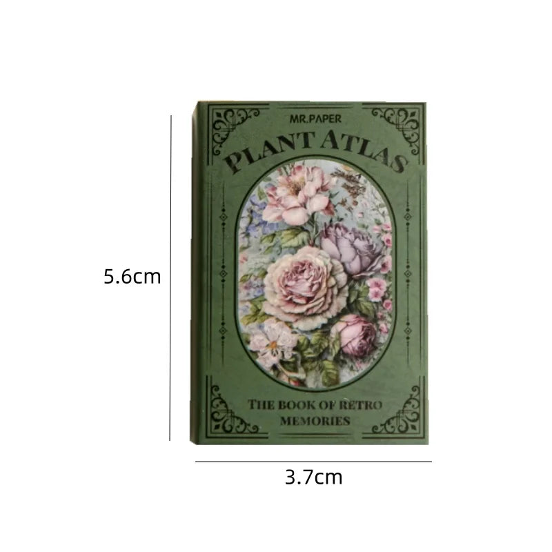 600pcs English plants butterfly cardstocK