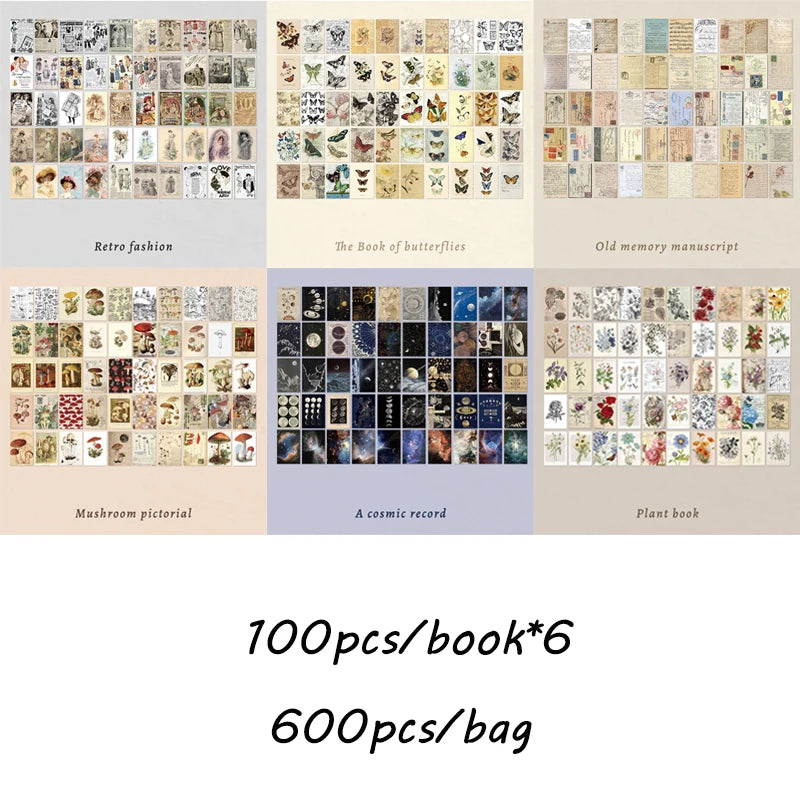 600pcs English plants butterfly cardstocK